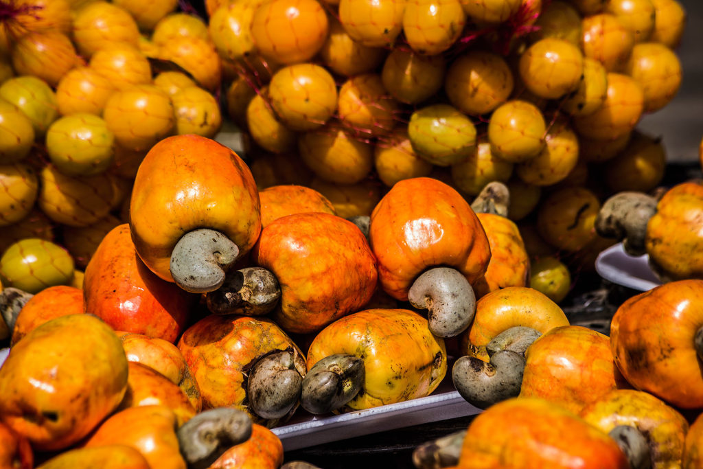 The fruit of the cashew tree