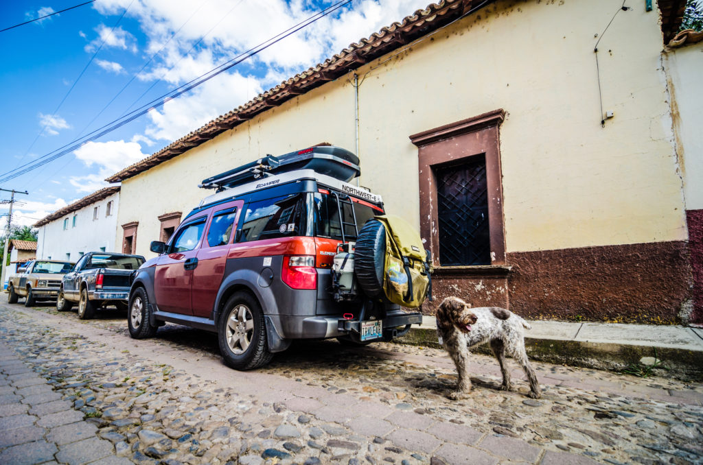 Sophie, a German Wirehaired Pointer, next to the Honda Element