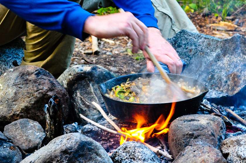 Cooking in the wild