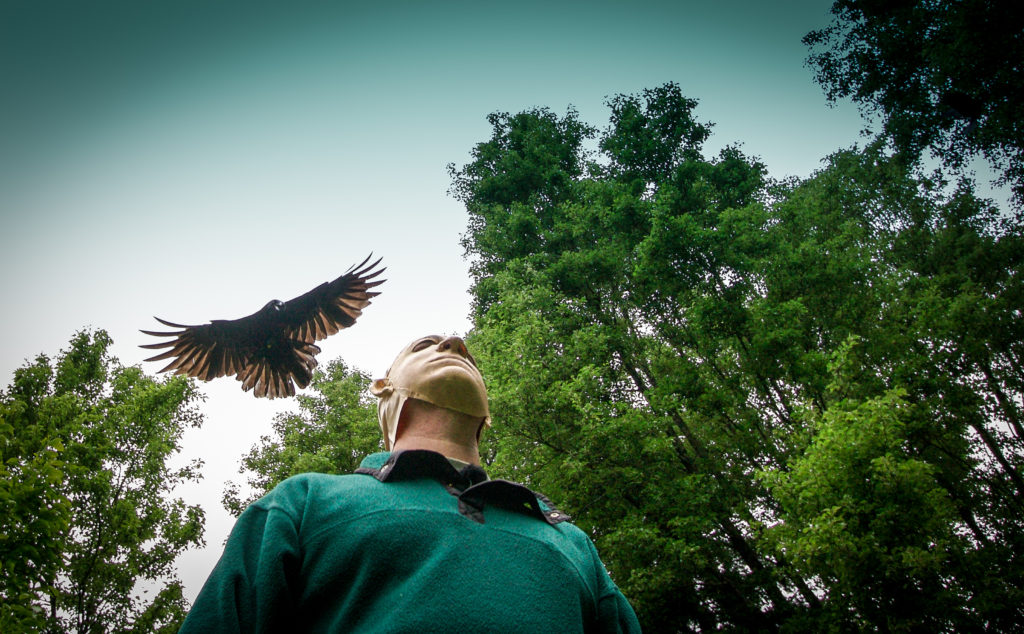 Crow dive-bombing a masked John Marzluff